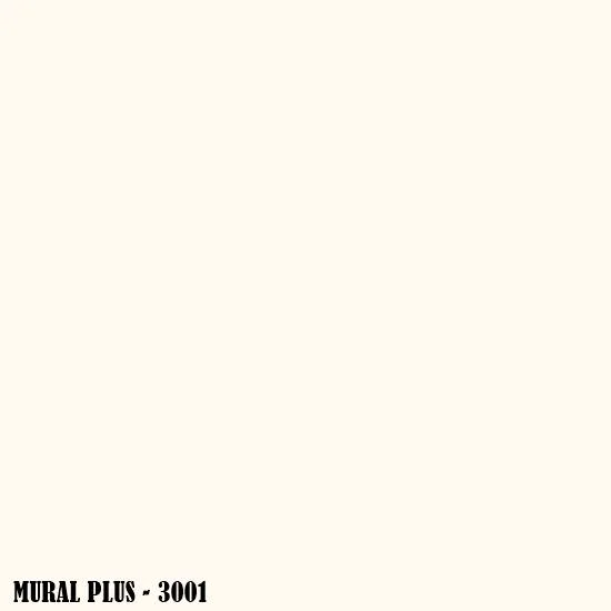 3001.jpg