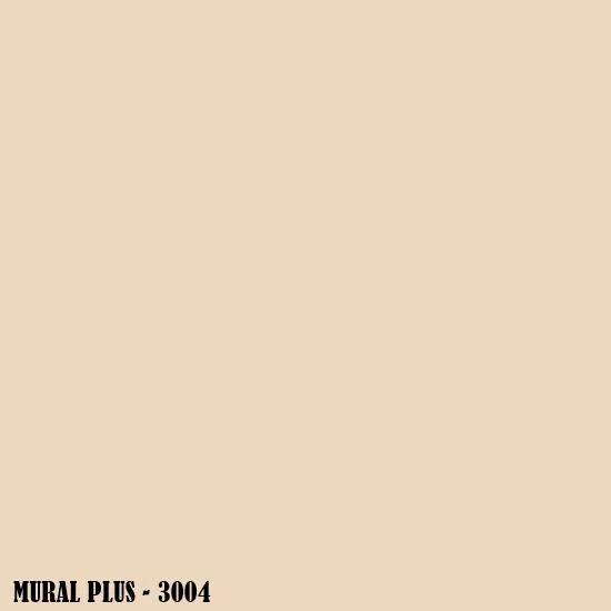 3004.jpg
