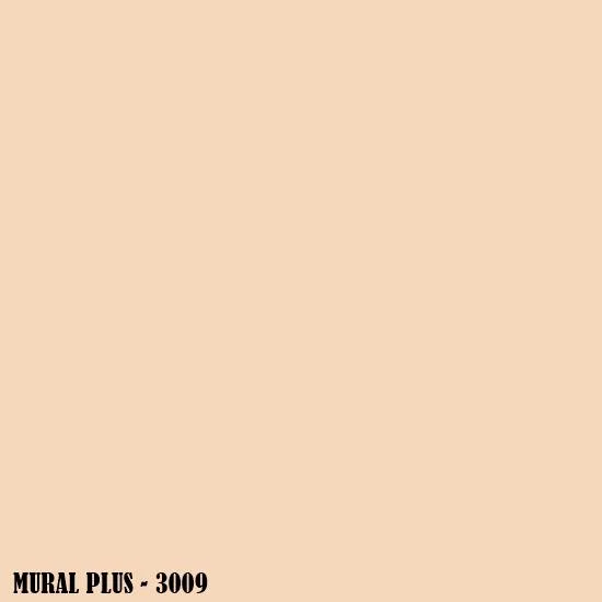 3009.jpg