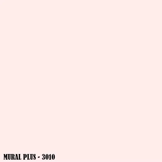 3010.jpg