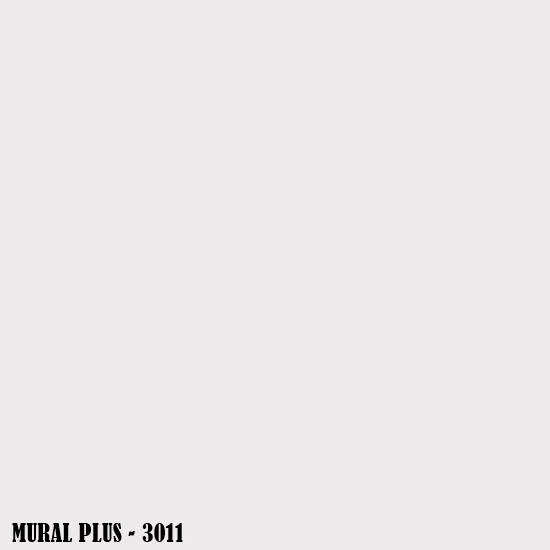 3011.jpg