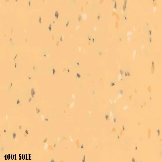 4001-Sole-1.jpg