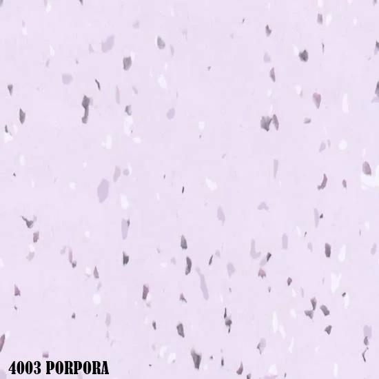 4003-Porpora-1.jpg