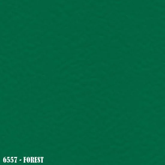 6557-Forest.jpg