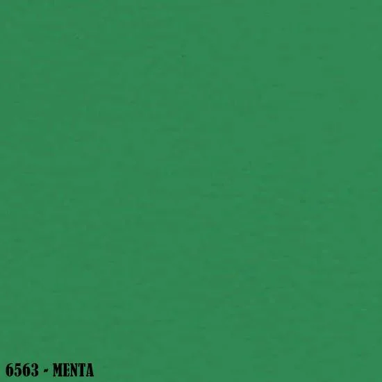 6563-Menta-1.jpg