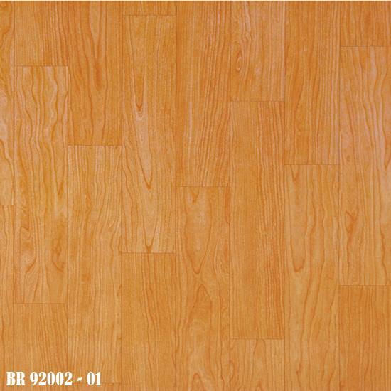 BR_92002-01