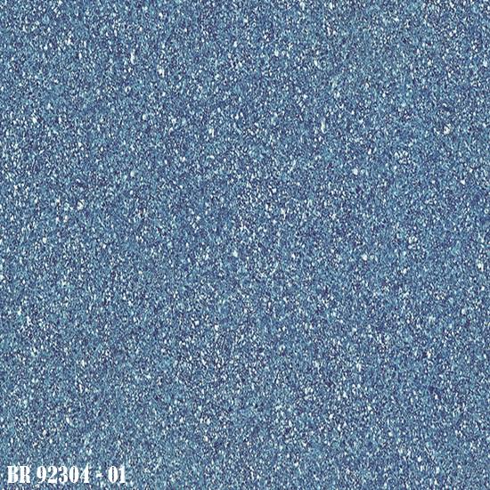 BR_92304-01