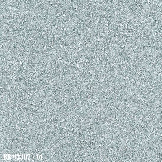 BR_92307-01