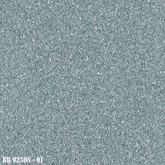 BR_92308-01