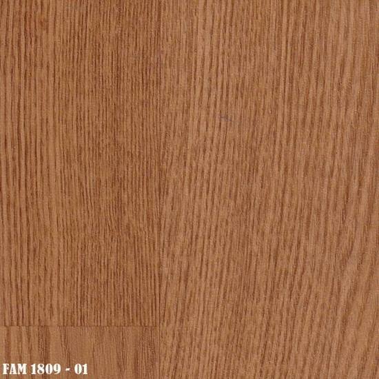 FAM-1809-01