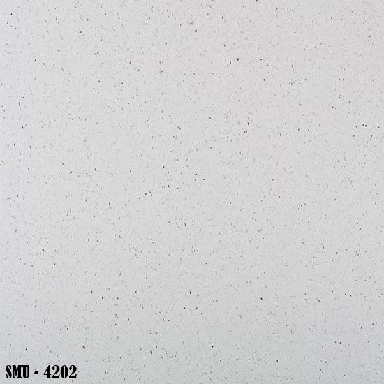 LG-Unite-SMU-4202