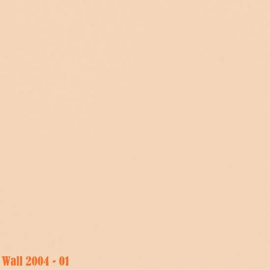 Medistep-Wall-2004-01.jpg