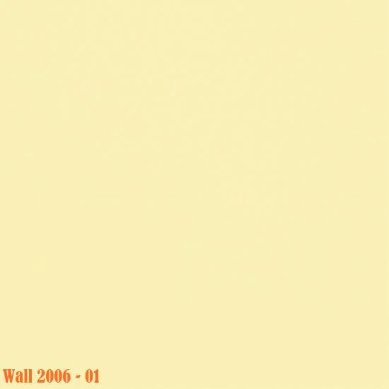 Medistep-Wall-2006-01.jpg