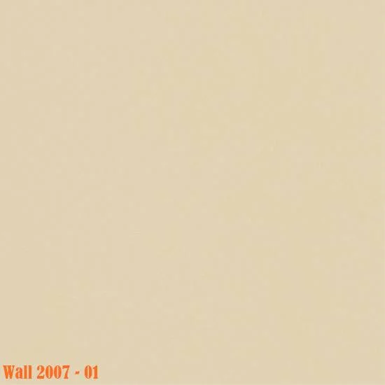 Medistep-Wall-2007-01.jpg