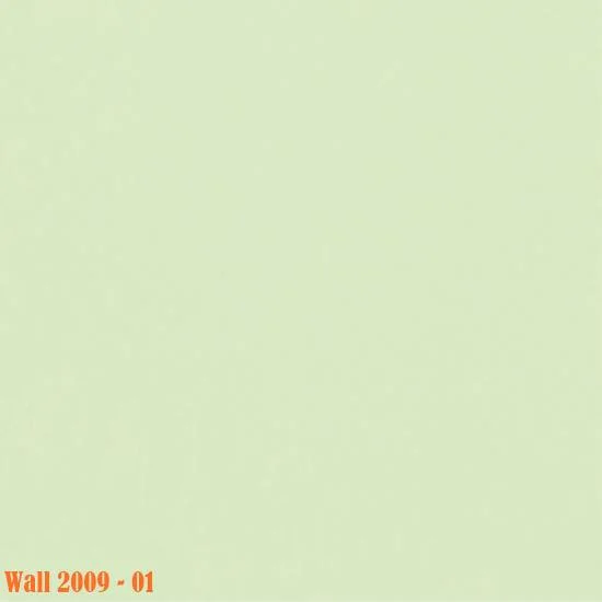 Medistep-Wall-2009-01.jpg
