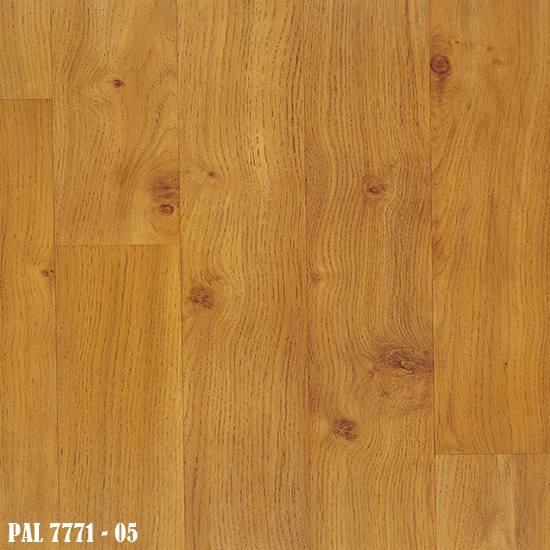 PAL_7771-05-1