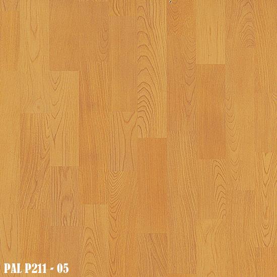 PAL_P211-05-1