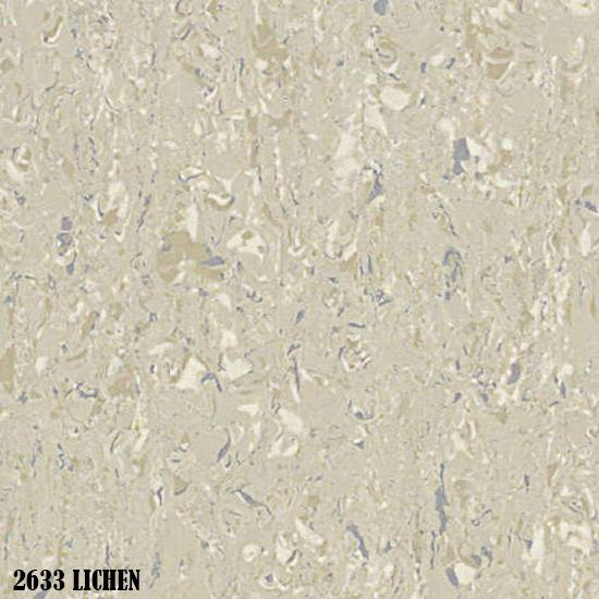 2633-Lichen