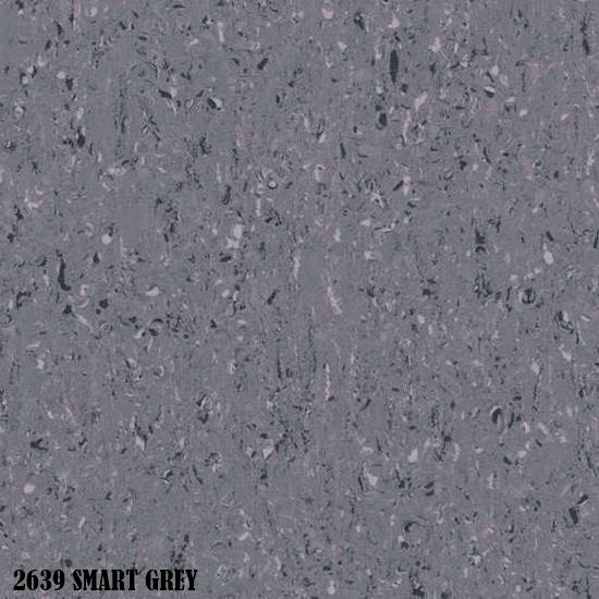 2639-Smart-Grey.bk