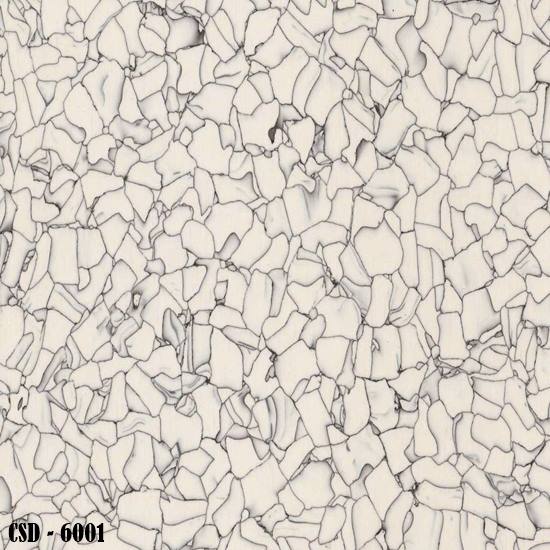 CSD_6001