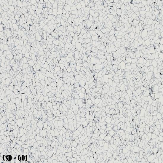 CSD_601