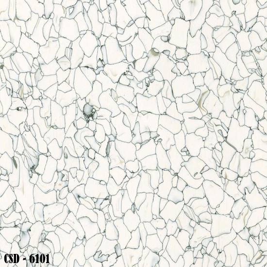 CSD_6101